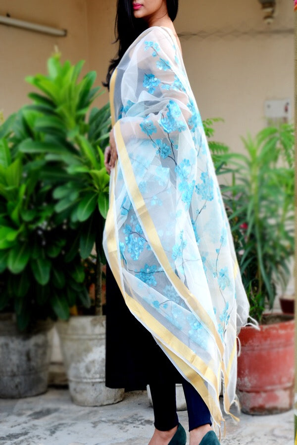Off White Organza Hand painted Stole