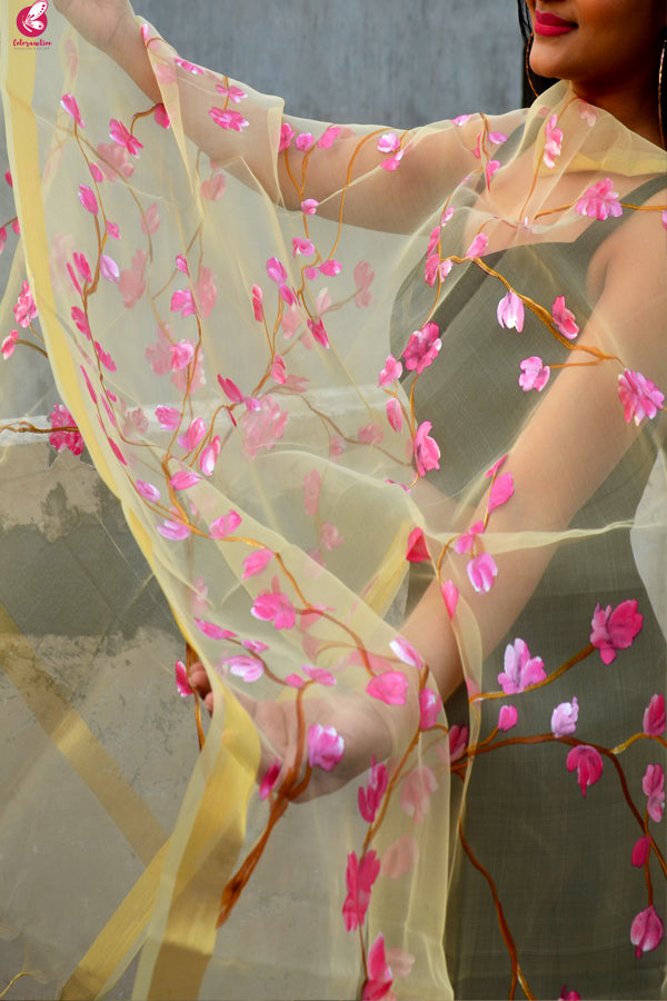 Cream Organza Floral Hand Painted Stole
