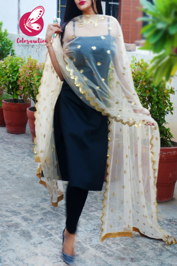 Off White Heavy Net Embellished Border Dupatta