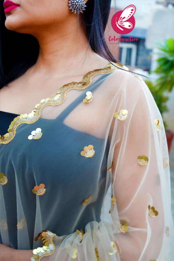 Off White Heavy Net Embellished Border Dupatta