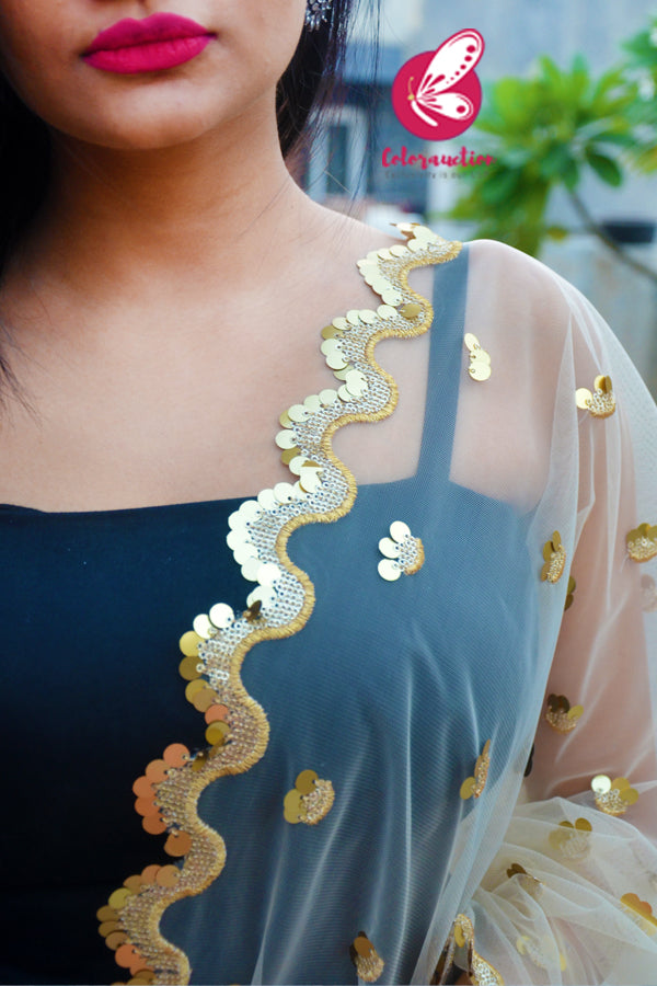Off White Heavy Net Embellished Border Dupatta