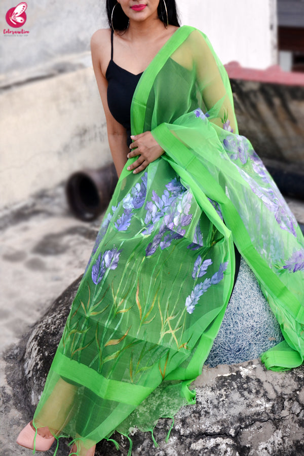 Green Organza Hand painted Floral Stole