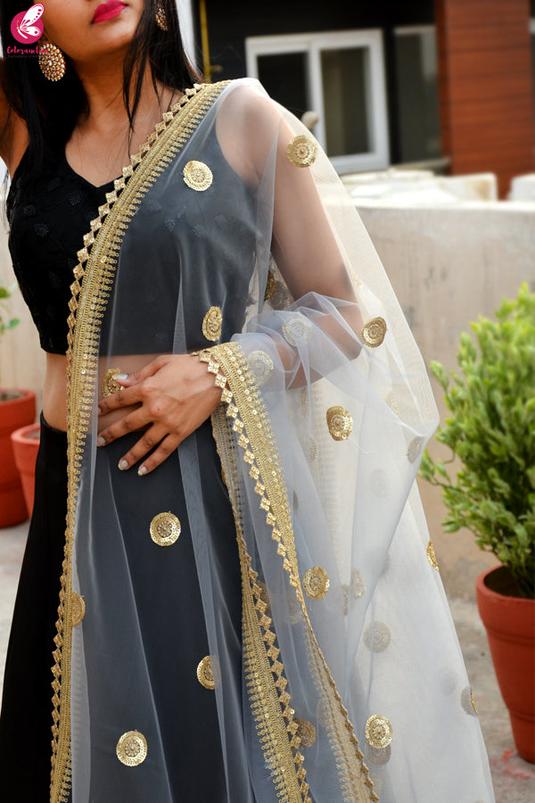 Grey Net Double Border Dupatta