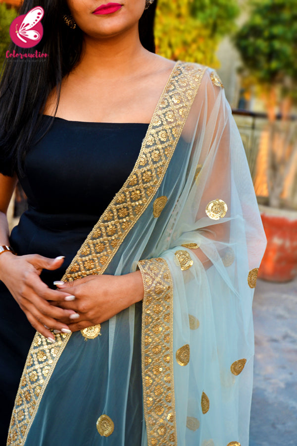 Sky Blue Heavy Net Zari Border Dupatta